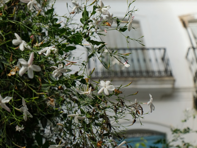 Botanical floral elements