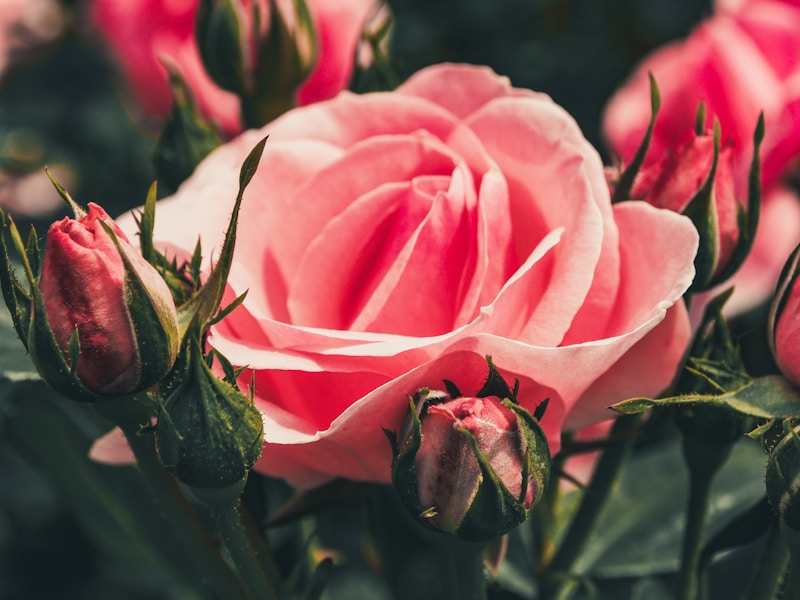 Botanical floral elements