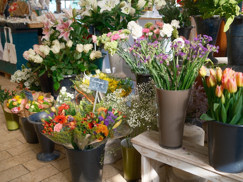 Seasonal fragrance collection
